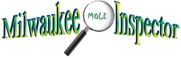 Milwaukee Mold Inspector